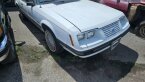 Thumbnail Photo 1 for 1984 Ford Mustang