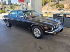 Thumbnail Photo 2 for 1984 Jaguar XJ6