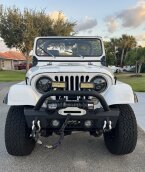 Thumbnail Photo 2 for 1984 Jeep CJ for Sale by Owner