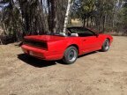 Thumbnail Photo 3 for 1984 Pontiac Custom
