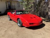 1984 Pontiac Custom