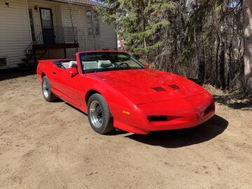 1984 Pontiac Custom