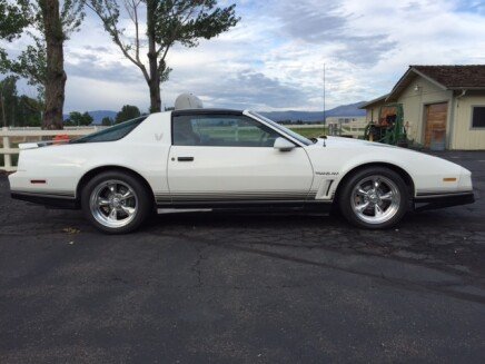 Photo 1 for 1984 Pontiac Firebird Trans Am Coupe for Sale by Owner