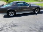 Thumbnail Photo 2 for 1984 Pontiac Firebird