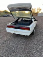 Thumbnail Photo 6 for 1984 Pontiac Firebird