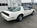 Thumbnail Photo 3 for 1984 Pontiac Firebird