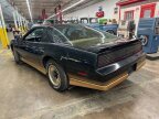 Thumbnail Photo 6 for 1984 Pontiac Firebird Trans Am Coupe