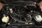 Thumbnail Photo 1 for 1984 Pontiac Firebird Trans Am Coupe