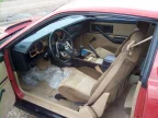 Thumbnail Photo 6 for 1984 Pontiac Firebird Trans Am Coupe