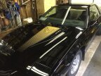 Thumbnail Photo 2 for 1984 Pontiac Firebird Trans Am for Sale by Owner