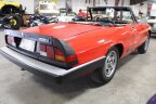 Thumbnail Photo 6 for 1985 Alfa Romeo Spider