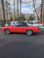Thumbnail Photo 3 for 1985 Alfa Romeo Spider