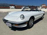 1985 Alfa Romeo Spider