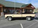1985 Chevrolet C/K Truck 2WD Regular Cab 1500