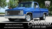1985 Chevrolet C/K Truck 2WD Regular Cab 1500