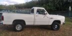 Thumbnail Photo 4 for 1985 Dodge D/W Truck