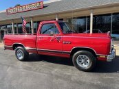 1985 Dodge D/W Truck 2WD Club Cab D-150