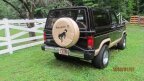 Thumbnail Photo 4 for 1985 Ford Bronco