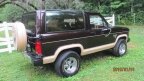 Thumbnail Photo 3 for 1985 Ford Bronco
