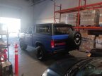 Thumbnail Photo 6 for 1985 Ford Bronco