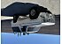 1985 Ford Bronco XLT