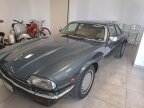 Thumbnail Photo 3 for 1985 Jaguar XJS