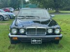 Thumbnail Photo 2 for 1985 Jaguar XJ Vanden Plas