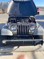 Thumbnail Photo 1 for 1985 Jeep CJ 7 for Sale by Owner