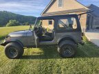 Thumbnail Photo 3 for 1985 Jeep CJ 7 Renegade for Sale by Owner