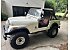 1985 Jeep CJ