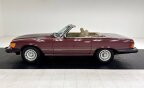 Thumbnail Photo 5 for 1985 Mercedes-Benz 380SL