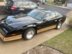 Thumbnail Photo 2 for 1985 Pontiac Firebird Trans Am Coupe for Sale by Owner