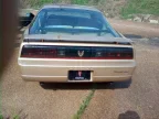 Thumbnail Photo 5 for 1985 Pontiac Firebird Trans Am Coupe
