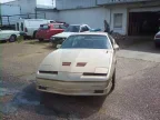 Thumbnail Photo 2 for 1985 Pontiac Firebird Trans Am Coupe