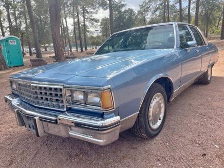 Photo 1 for 1985 Pontiac Parisienne