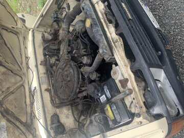 1985 Toyota Pickup 2WD Regular Cab