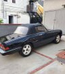 Thumbnail Photo 1 for 1986 Alfa Romeo Spider