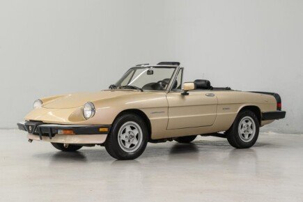 Photo 1 for 1986 Alfa Romeo Spider