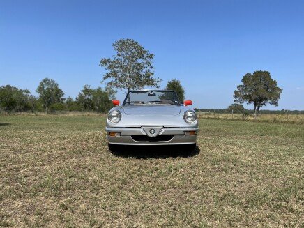 Photo 1 for 1986 Alfa Romeo Spider for Sale by Owner
