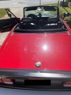 Thumbnail Photo 1 for 1986 Alfa Romeo Spider