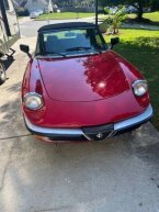 Thumbnail Photo 5 for 1986 Alfa Romeo Spider