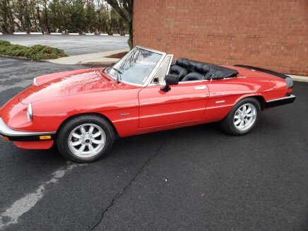 Photo 1 for 1986 Alfa Romeo Spider Graduate for Sale by Owner
