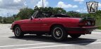 Thumbnail Photo 4 for 1986 Alfa Romeo Spider Graduate