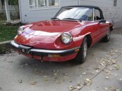 1986 Alfa Romeo Spider Graduate