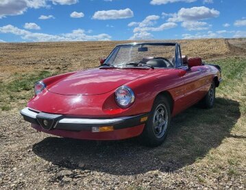 1986 Alfa Romeo Spider Veloce
