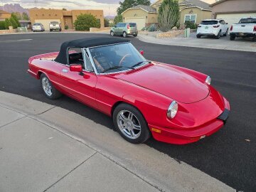 1986 Alfa Romeo Spider