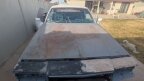Thumbnail Photo 1 for 1986 Buick Regal