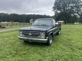 1986 Chevrolet C/K Truck 2WD Regular Cab 1500