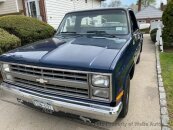 1986 Chevrolet C/K Truck