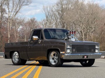 1986 Chevrolet C/K Truck 2WD Regular Cab 1500